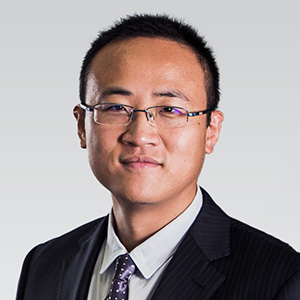 Prof Bohui ZHANGSenior Fellow